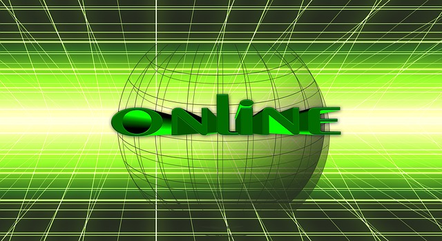 online svět